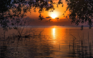 Sunset water boat trees forest - the foreground and a boat in the distance free wallpaper