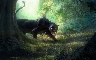 Black bear forest jungle fantasy - a black bear free wallpaper