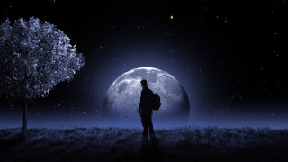 Fullmoon field man backpack tree - dreamlike free wallpaper for desktop