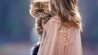 Woman holding cat green eyes - her arm free wallpaper for desktop