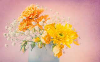 Yellow flowers vase pink wall - a table top next free wallpaper