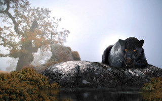 Black panther rock water tree - a black panther free wallpaper for desktop
