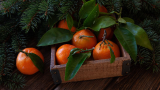 Oranges leaves pinecones stilllife outdoors - a wooden table free wallpaper for desktop