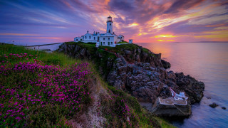 Lighthouse rocky cliff sunset flower - a rocky cliff free wallpaper