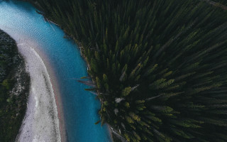 River forest beach blue water - a forest next free wallpaper