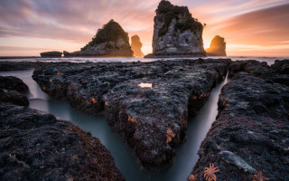 Rocky beach stream sunset leaves - a small stream free wallpaper for desktop
