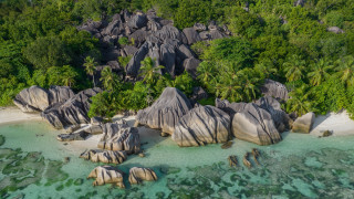 Aerial beach rocks trees water - camille bouvagne free wallpaper for desktop