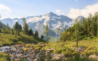 Mountain stream forest grass rocks - rock and grass free wallpaper for desktop