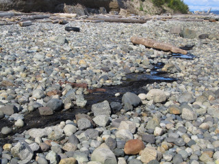 Rocky beach stream rocks cliff - free beach wallpaper
