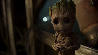 Groote window plant photorealism IMAX - hand free wallpaper for desktop