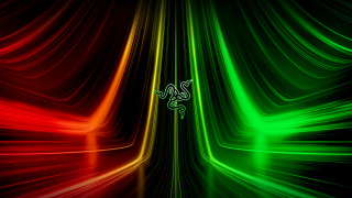 Green red lizard background computer - a lizard free wallpaper