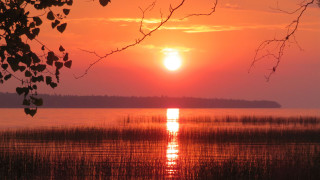 Sunset lake tree branch horizon - erlund hudson free wallpaper