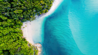 Beach forest aerial view blue - a blue water free wallpaper