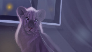 Purple tiger cub window night - its eye free wallpaper