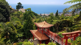 Red pagoda forest ocean bridge - zenith view free wallpaper for desktop