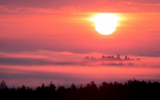 Sunset foggy forest distant tower - arvid nyholm free wallpaper