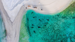 Beach people ocean white sand - a blue ocean free wallpaper