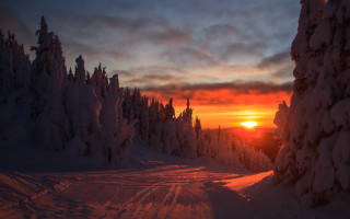 Sunset snowy road trees winter - a sunset in the distance free wallpaper