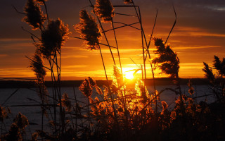 Sunset clouds plants water bridge - the foreground and a body of water free wallpaper for desktop