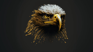 Bald eagle gold accent 3d - esao free wallpaper
