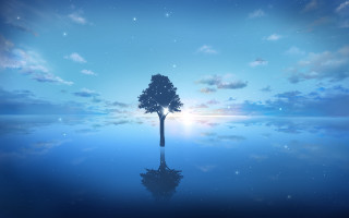 Lone tree reflection night starry - the water of a lake free wallpaper
