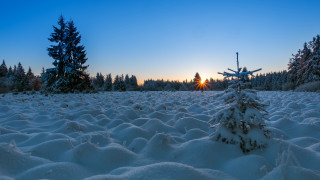 Snowy forest sunset blue sky - a snowy field free wallpaper