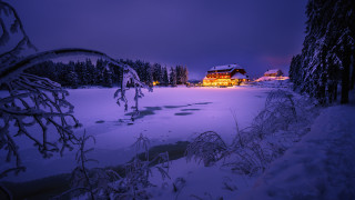 House snow night forest moon - derold page free wallpaper