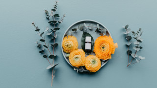 Plate flowers perfume blue leaves - free valentines wallpaper