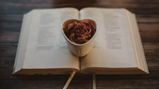 Book flower tea matchstick roses - a book free wallpaper