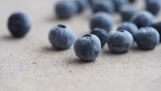 Blueberries ground macro photorealism blurry - the ground together free wallpaper