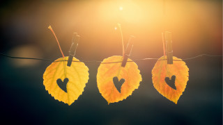 Leaves heart cut out autumn - a line free wallpaper