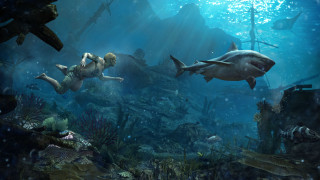 Aquarium sharks underwater people photorealism - a large aquarium free wallpaper