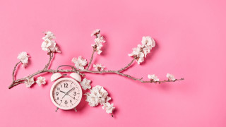 Clock branch flowers pink background - product photography free wallpaper
