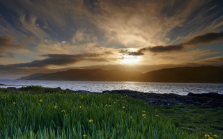 Sunset mountain water grass flowers - a few yellow flower free wallpaper