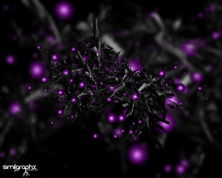 Black purple plant bokeh lights - particle free wallpaper for desktop