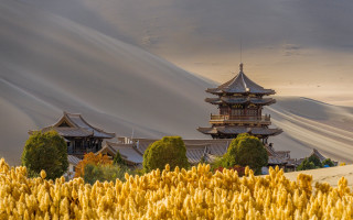 Tall building tower yellow flowers - arthur pan free wallpaper