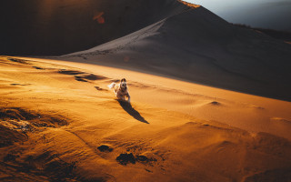Dog running sandy desert sunset - a dog free wallpaper