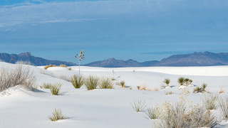 Desert mountains plants sky lake - a desert landscape free wallpaper