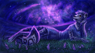 Wolf grass purple starry night - galaxy free wallpaper for desktop