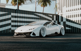 White sports car palm trees - a white sports car free wallpaper