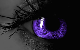 Close up persons eye purple - a close up of a persons eye free wallpaper