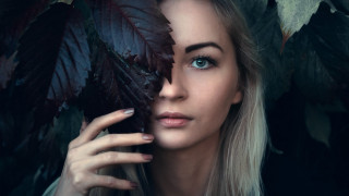 Blue eyed woman leaf serious - blue eyes holding free wallpaper