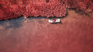 Boat water red bushes autumn - elsa bleda free wallpaper