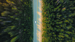 White car road forest trees - the middle of a forest free wallpaper for desktop