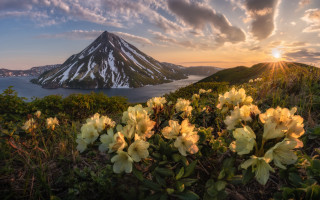 Mountain lake flowers sunset clouds - a sun setting free wallpaper