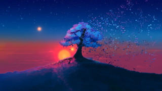 Tree hill sunset stars aurora 2 - a digital painting free wallpaper for desktop