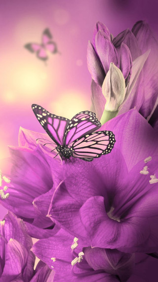 Butterfly purple flower flying background - a purple flower free wallpaper for mobile