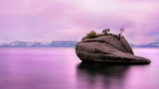 Rock plant lake mountains surreal - surrealism free wallpaper