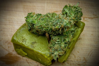 Green substance on green food - top of a piece free wallpaper