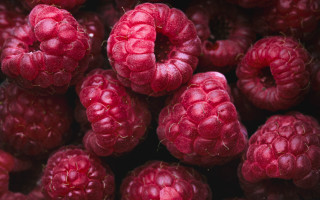 Raspberries macro closeup food fruit - a bunch of raspberries free wallpaper